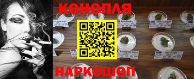 spice Кунгур